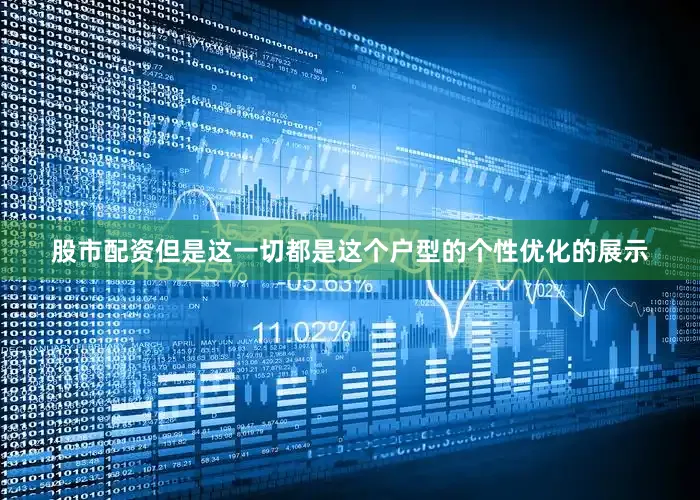股市配资但是这一切都是这个户型的个性优化的展示