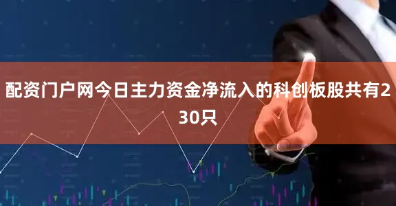 配资门户网今日主力资金净流入的科创板股共有230只