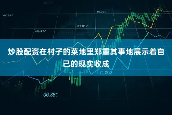 炒股配资在村子的菜地里郑重其事地展示着自己的现实收成