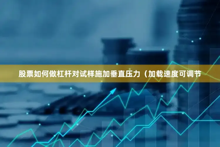 股票如何做杠杆对试样施加垂直压力（加载速度可调节