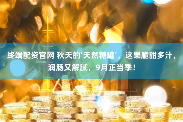 终端配资官网 秋天的‘天然糖罐’，这果脆甜多汁，润肠又解腻，9月正当季！