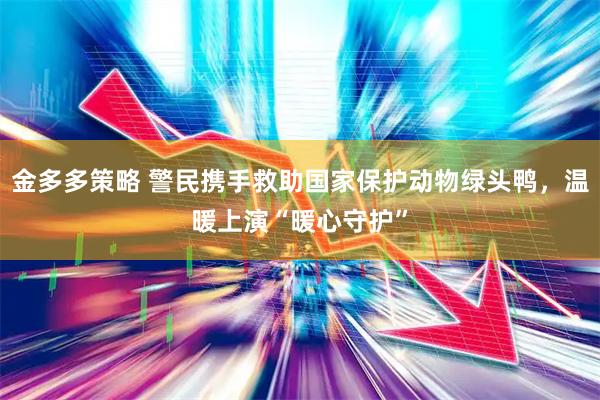 金多多策略 警民携手救助国家保护动物绿头鸭，温暖上演“暖心守护”