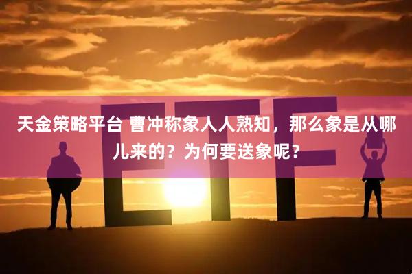 天金策略平台 曹冲称象人人熟知，那么象是从哪儿来的？为何要送象呢？